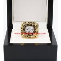 AFC 1984 Miami Dolphins Championship Ring|Custom Miami Dolphins Champions Ring for sell