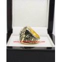 Olympic 1980 USA Hockey Team World Championship Ring, Custom Olympic Hockey Champions Ring
