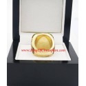 NFL 1973 Miami Dolphins Super Bowl VIII World Championship Ring, Replica Miami Dolphins Ring
